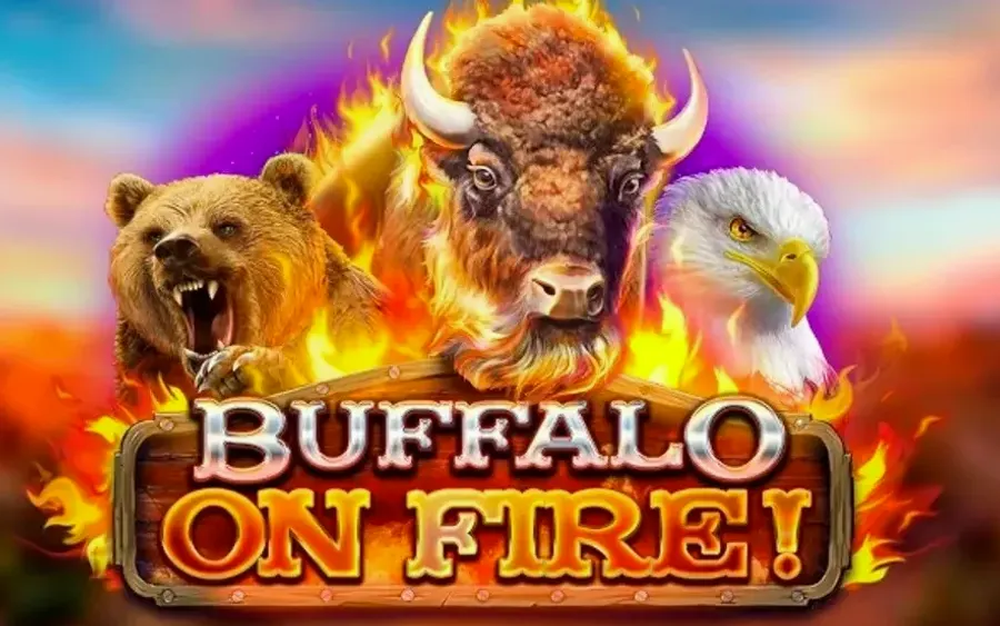 Buffalo on Fire