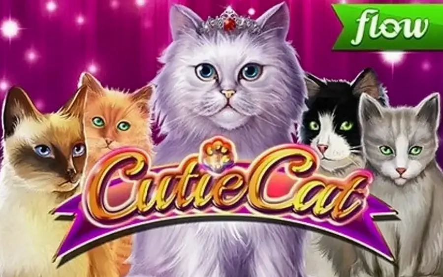 Cutie Cat